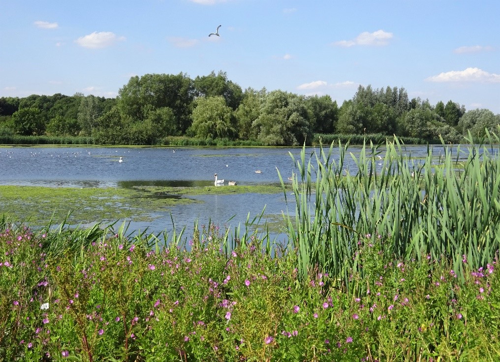 Melton Country Park