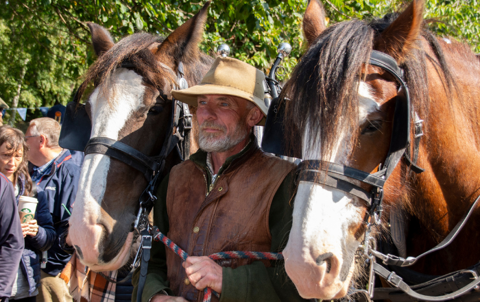 Jamie Alcock shire horse fundraiser
