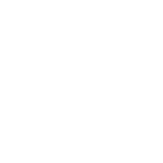 Youtube icon